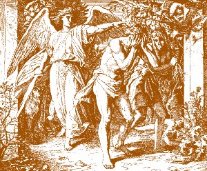 Fall of 
the First Adam