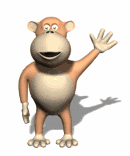 monkey