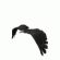 Lataj�ce
