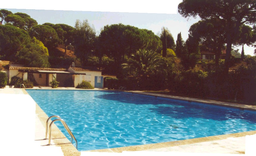la piscine commune au milieu de la verdure