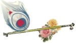 flute