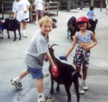 goat.jpg (21636 bytes)