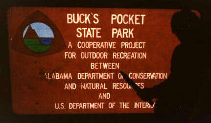 pocket.jpg (15780 bytes)