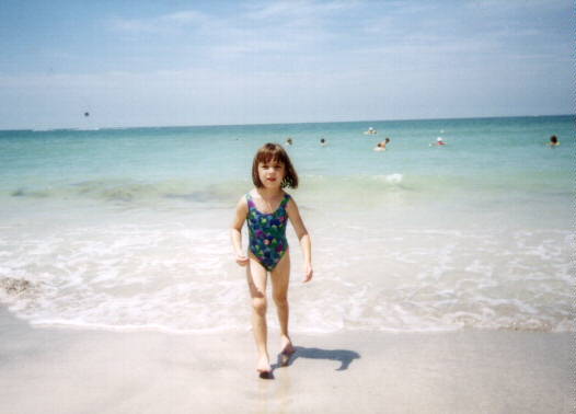 sbeach.jpg (19678 bytes)
