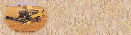 Preview of Shavuot10