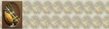 Preview of Succot4