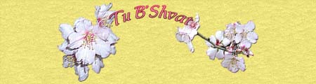 Preview of Tu B'Shvat8