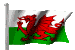 Welsh Flag
