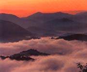 smokies