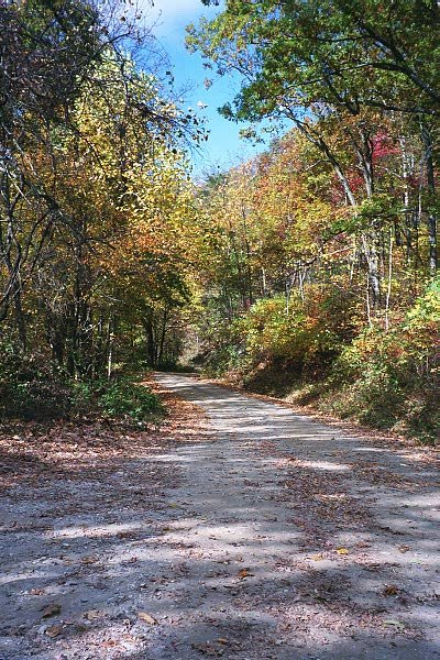 Tatum Gap Road -- Trail of Tears in NC