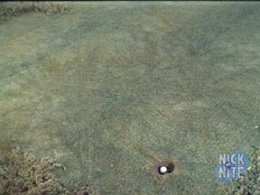 If you look closely, you can see a path where the ball traveled. It's was obviously magnetic.