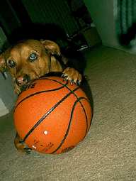I've got big balls...