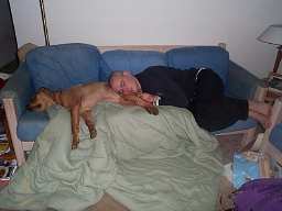 Who is snoring, Gill or the Dingo?