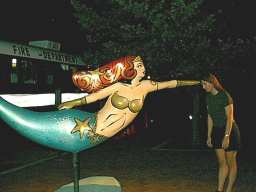 B vs. MERMAID
