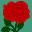 Rosepetal