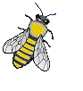 abelha06.gif (16648 bytes)