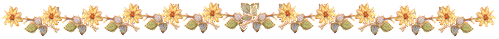 barra_22.gif (9382 bytes)