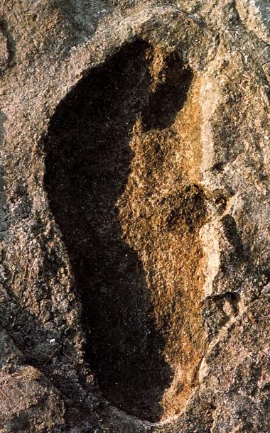Detalhe da pegada