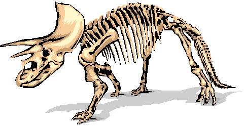 Evolu��o