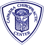 chirocen.gif (11697 bytes)