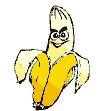 Sheryl's favorite fruit