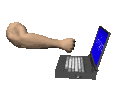 Programming his laptop