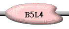 B5L4