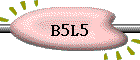 B5L5