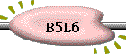 B5L6