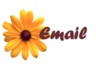 Email Me