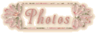A Gallery of Pictures