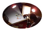 Choosing a Digital Camera to Use At Work
<BR>