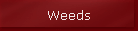 Weeds