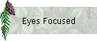 Eyes Focused