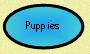 Puppy Pictures
