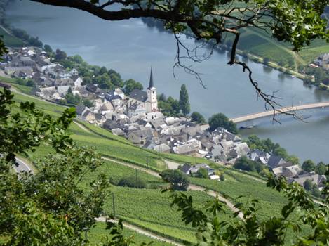 Ein Bild, das Gras, drau�en, Baum, Landschaft enth�lt.

Automatisch generierte Beschreibung