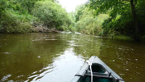 Ein Bild, das drau�en, Baum, Wasser, Transport enth�lt.

Automatisch generierte Beschreibung