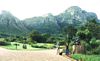Cape Town - parks under the Table Mountain..