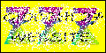 Il banner 468x60 di questo sito!!