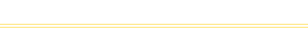 Modulo di ricerca
