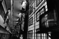 Perry Mason in TV (�Ken Light)