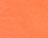 cotton6sm.jpg (3211 bytes)