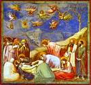 giotto121.jpg