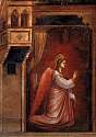 giotto2a.jpg