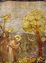 giotto44.jpg