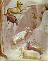 giotto48.jpg
