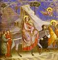 giotto54.jpg