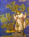 giotto59.jpg