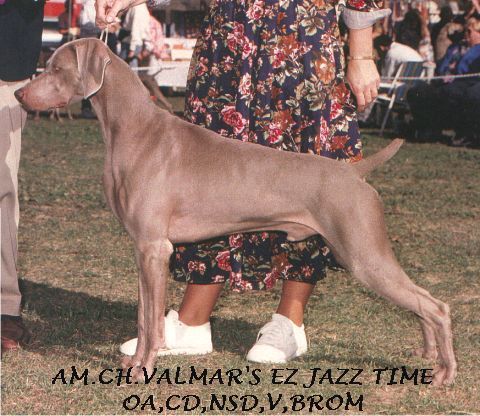 jazztime.jpg (58006 bytes)