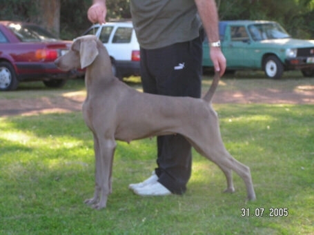 zoey33.jpg (84330 bytes)